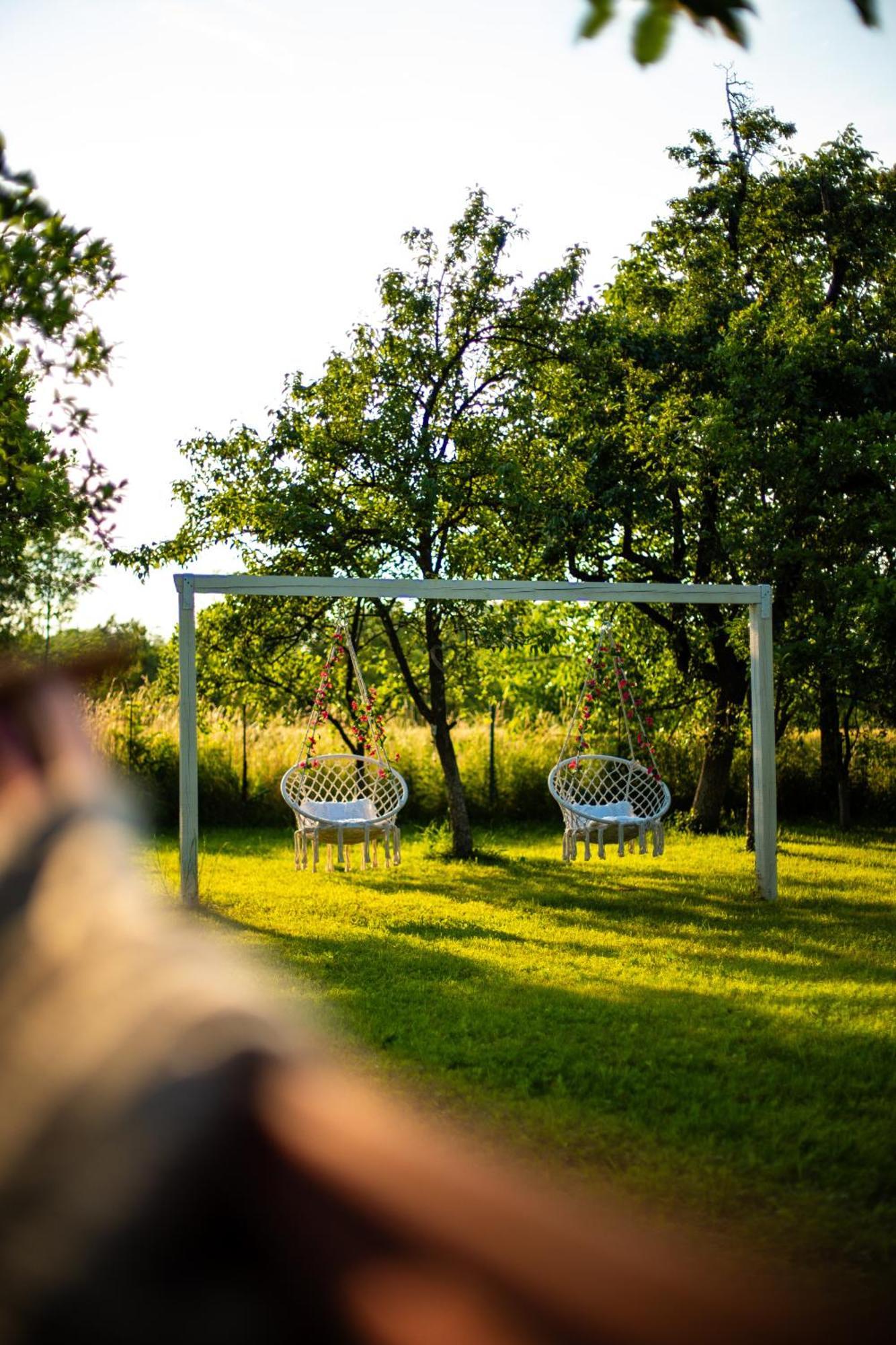 Green Garden Glamping Retezat Balan  Luaran gambar